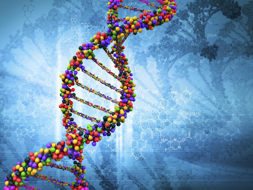 DNA personalized medicine